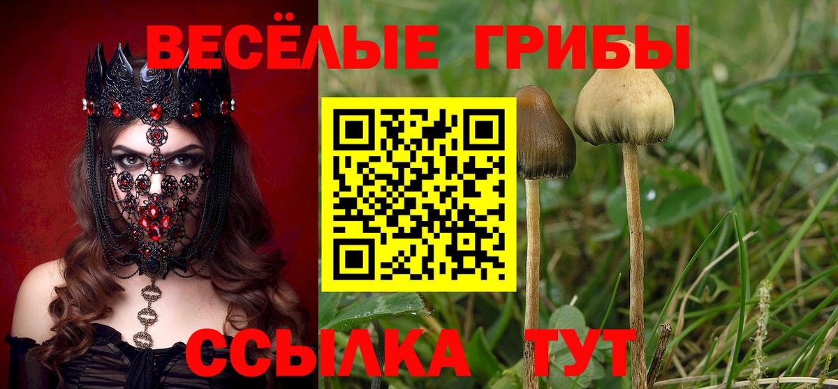 Галлюциногенные грибы MAGIC MUSHROOMS  Вход с VPN  Галлюциногенные грибы Psilocybe  Ярцево 
